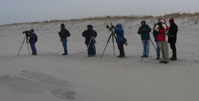 Anne Lazarus, Sandi Paci, Steve Nanz with scopes